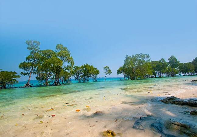 Islands of Andaman 08